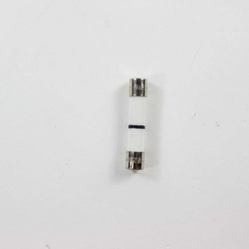 GE WB27X11099 FUSE