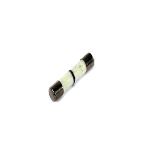 GE WB27X25389 FUSE